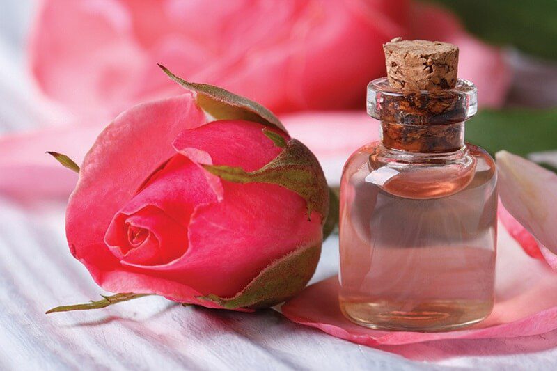 Nước hoa hoa hồng ngày càng được ưa chuộng bởi mùi hương thanh lịch, nhẹ nhàng